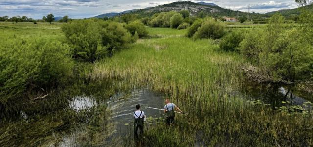 Prva godina provedbe projekta Refresh Fish LIFE: aktivnosti izlova invazivnih vrsta